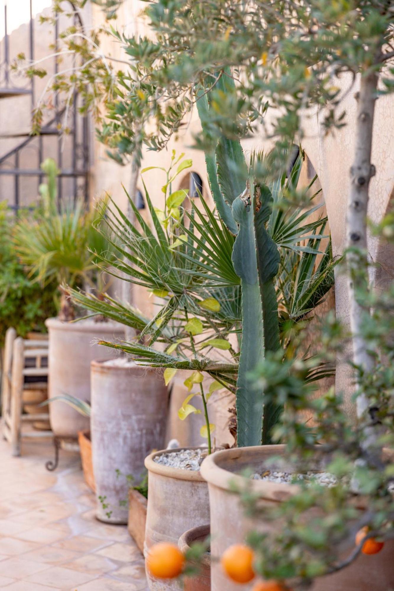 Dar Beija Bed & Breakfast Marrakesh Exterior photo